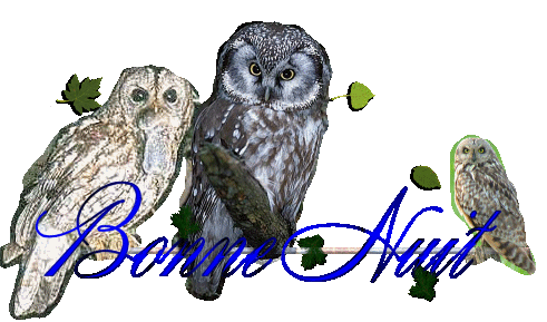 Il est l'heure de dormir.